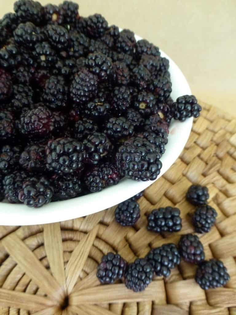 wild blackberries