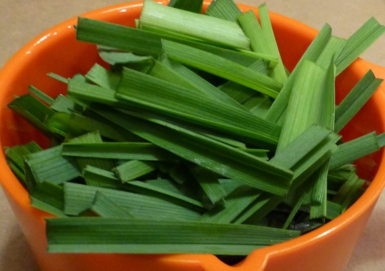 Dyeing with Plants Sharons Florida