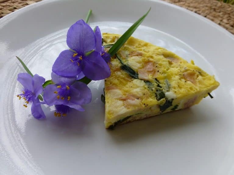 spiderwort fritatta