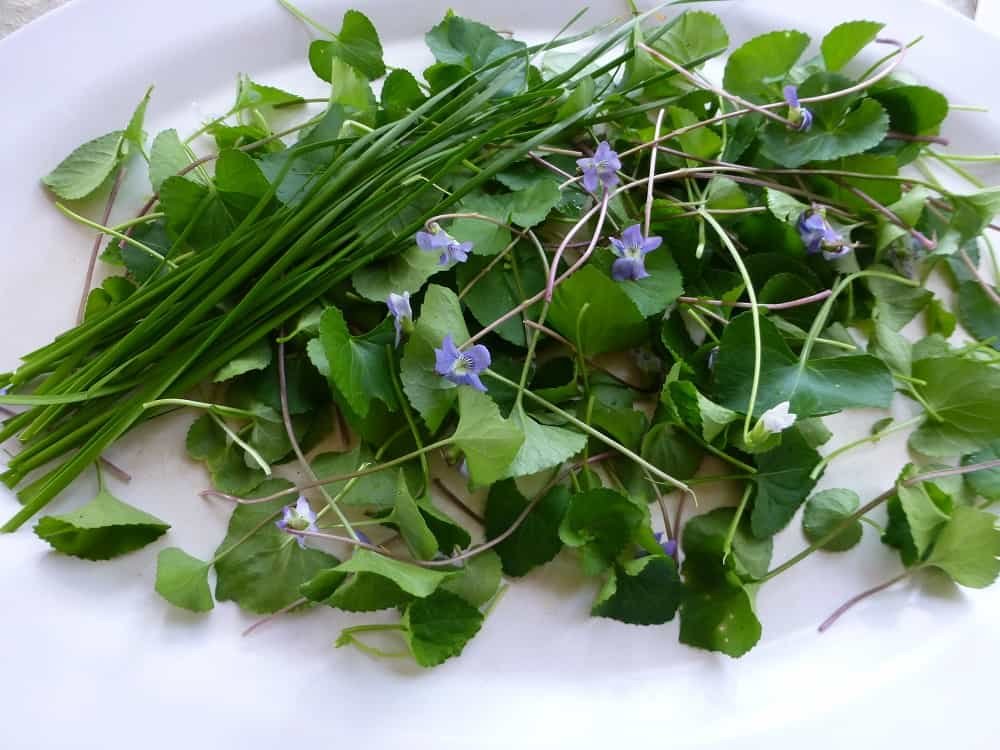 violet-and-meadow-garlic-pancakes-2 violet-and-meadow-garlic-pancakes-2