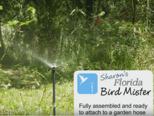 Birds in Sharon's Florida Bird Mister