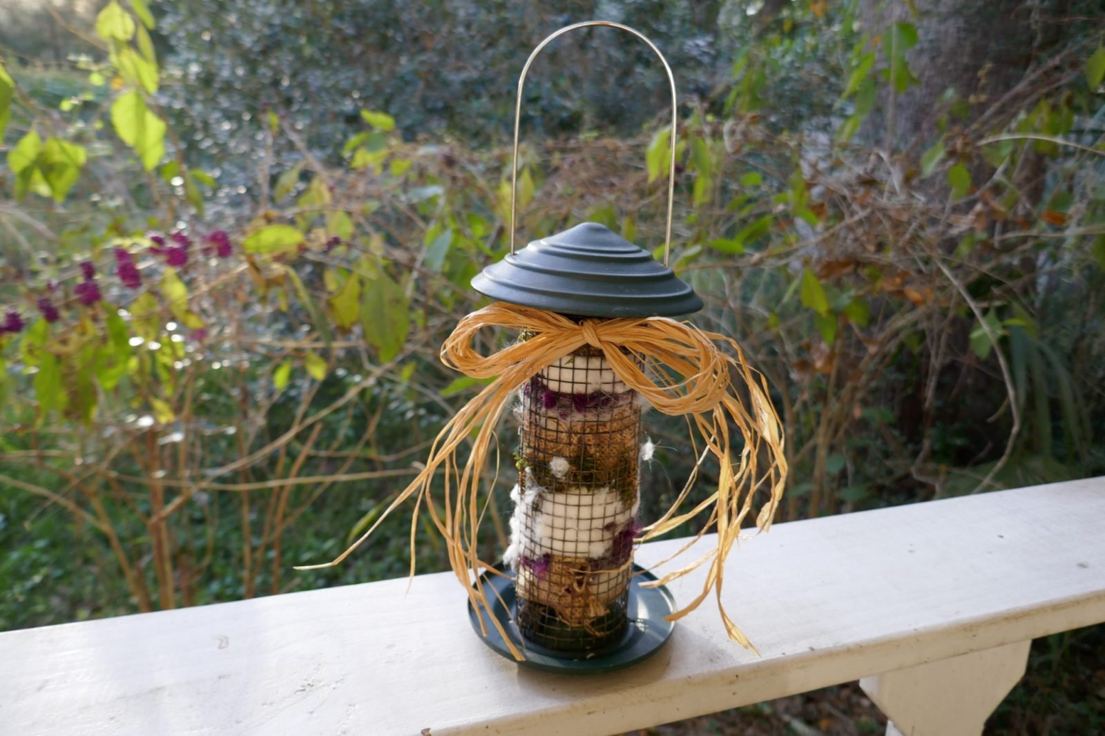 How to Provide Nesting Materials for Birds Sharons Florida