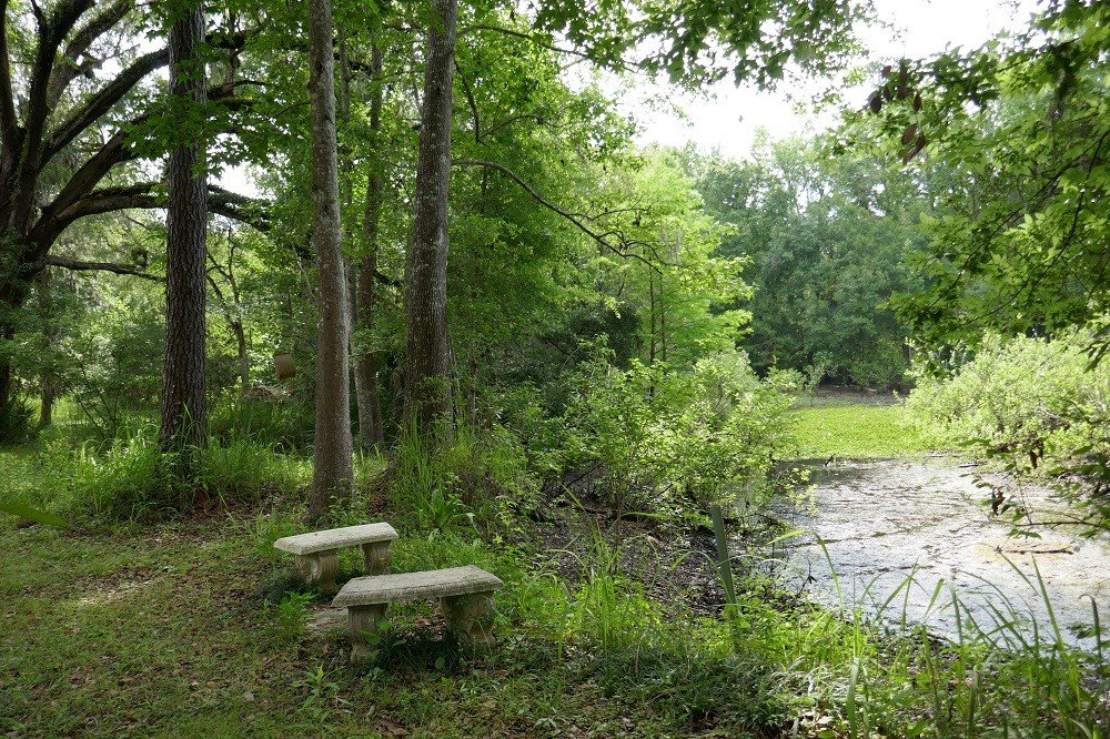 concrete benches next to a natural pond