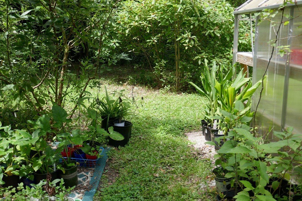 nursery with recycled garden rugs as weed block