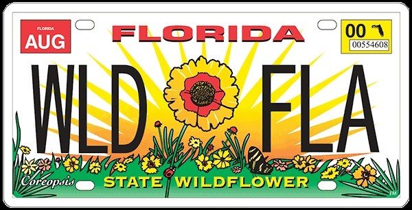 Florida license plate showing a Coreopsis tinctoria