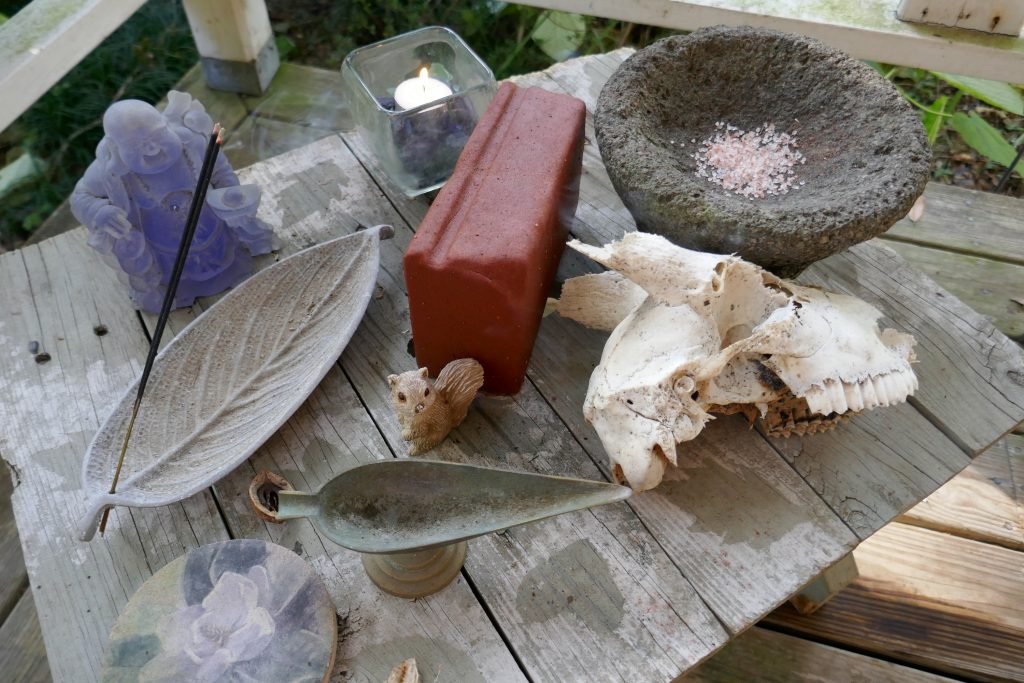 small wooden table with items for gray squirrels to chew