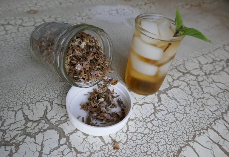 dotted horsemint tea (Monarda punctata) in a glass with ice