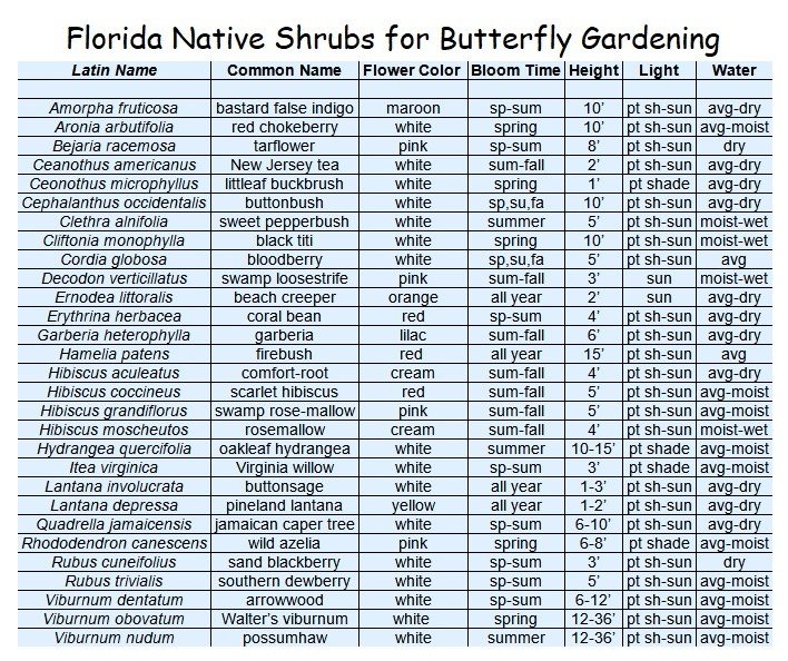chart of native Florida shrubs for butterfly gardening