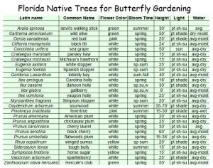 Butterfly Gardening in Central Florida - Sharons Florida