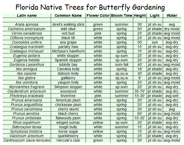 chart of native Florida trees for butterfly gardening