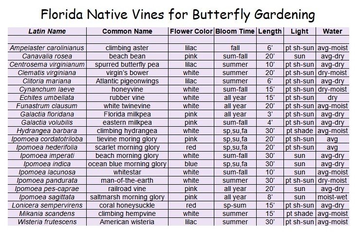 chart of native Florida vines for butterfly gardening