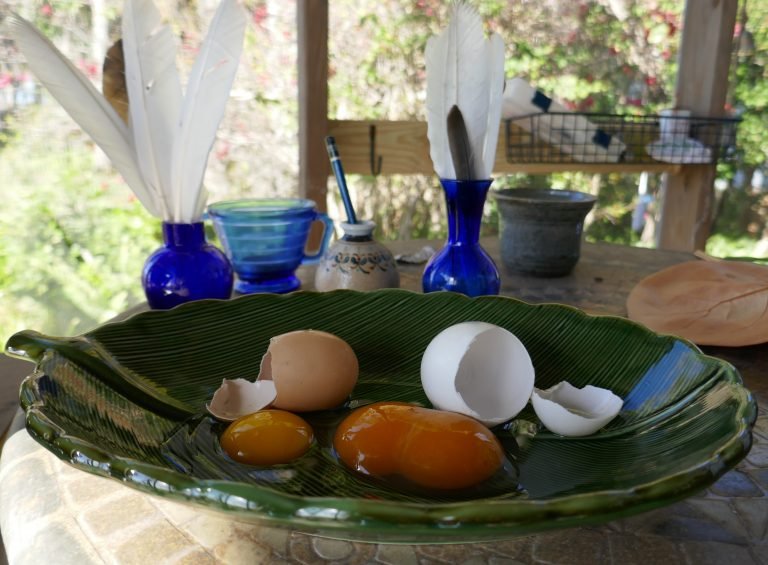 a chicken egg and a Pekin duck egg comparison