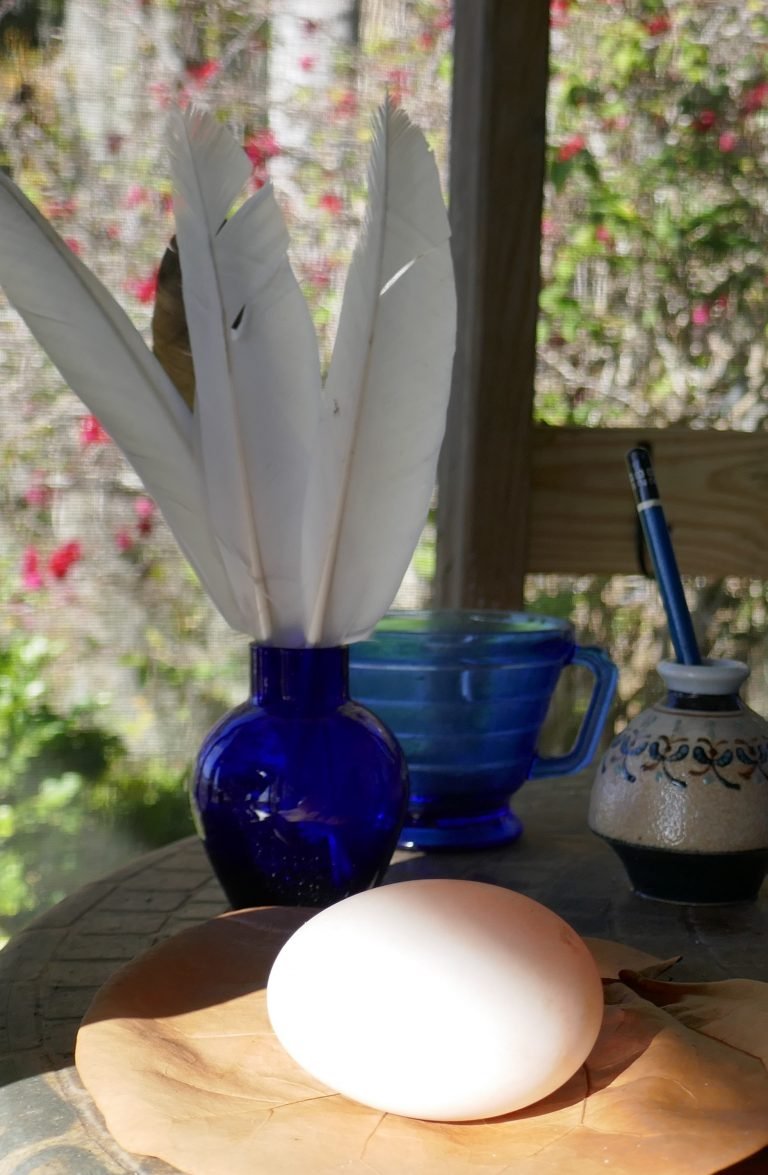 a Pekin duck egg on a table with a blue vase of duck feathers