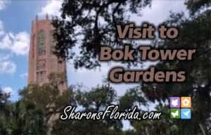 A picture of the Bok Tower and link to my video of our visit.