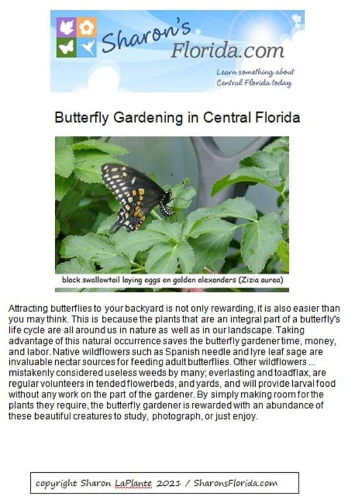 Butterfly Gardening in Central Florida - Printable pdf Guide - 8 Pages