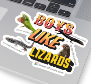 boys like lizards sticker