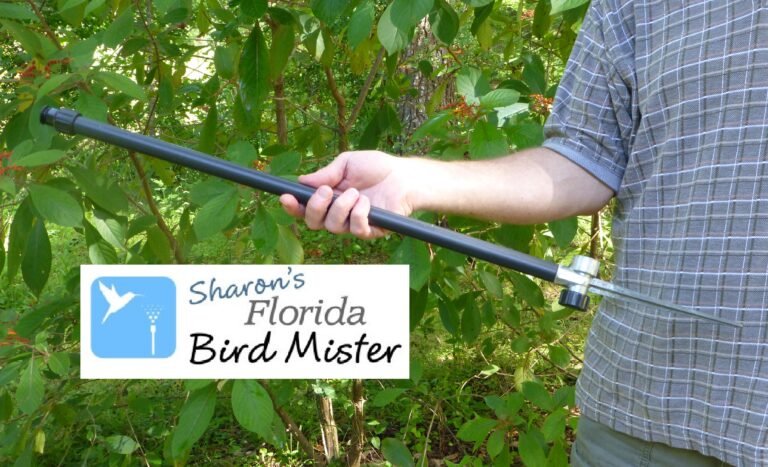 Sharons Florida Bird Mister