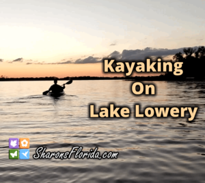 sunset with a kayaker video link to kayaking on lake lowery