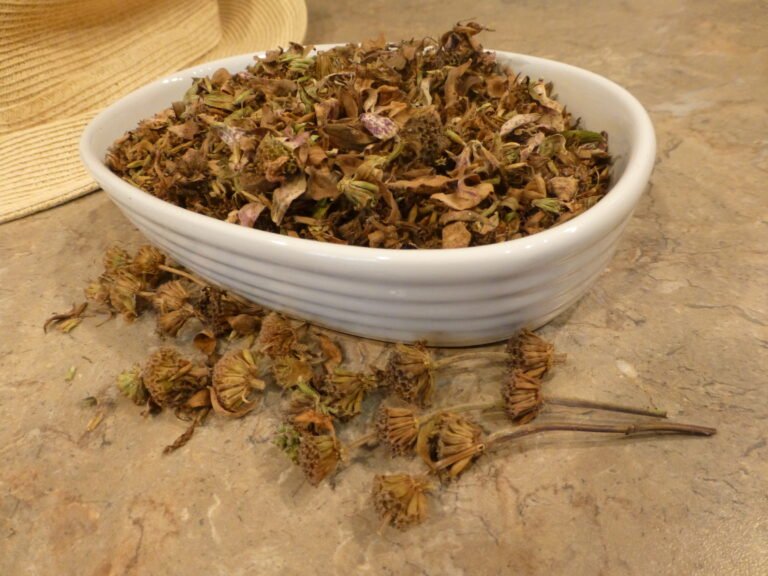 spotted beebalm dried for tea