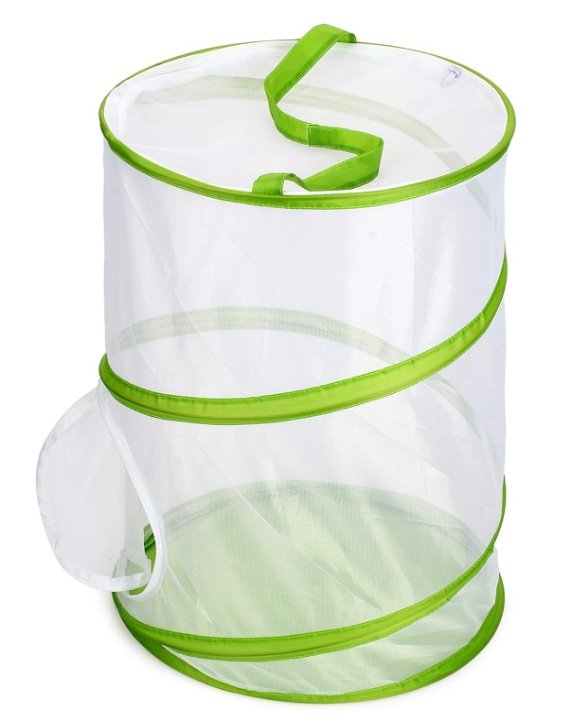 portable butterfly and caterpillar enclosure