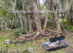 clearing an overgrown path video link