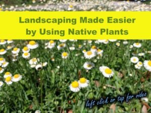 landscaping made easier video gallery thumbnail