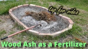 wood ash as a fertilzer video link
